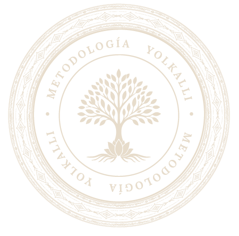 metodologia yolkalli